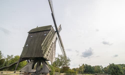 Mühlenmuseum Gifhorn in der Krise: Schwere Vorwürfe gegen die Stadtverwaltung