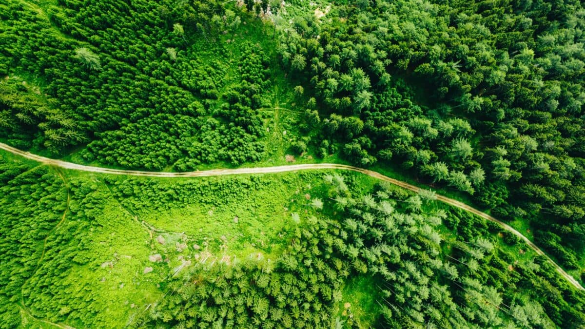 Digitale Zukunft oder ökologischer Albtraum? Warum Tech-Giganten wie Microsoft in der Kritik stehen