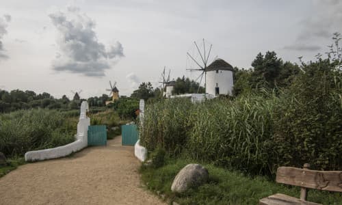 Saisonstart im Mühlenmuseum Gifhorn: Großes Frühlingsfest läutet neue Ära ein