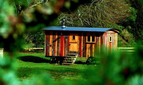 Der Traum vom Tiny House im eigenen Garten: Was im Landkreis Gifhorn rechtlich zu beachten ist