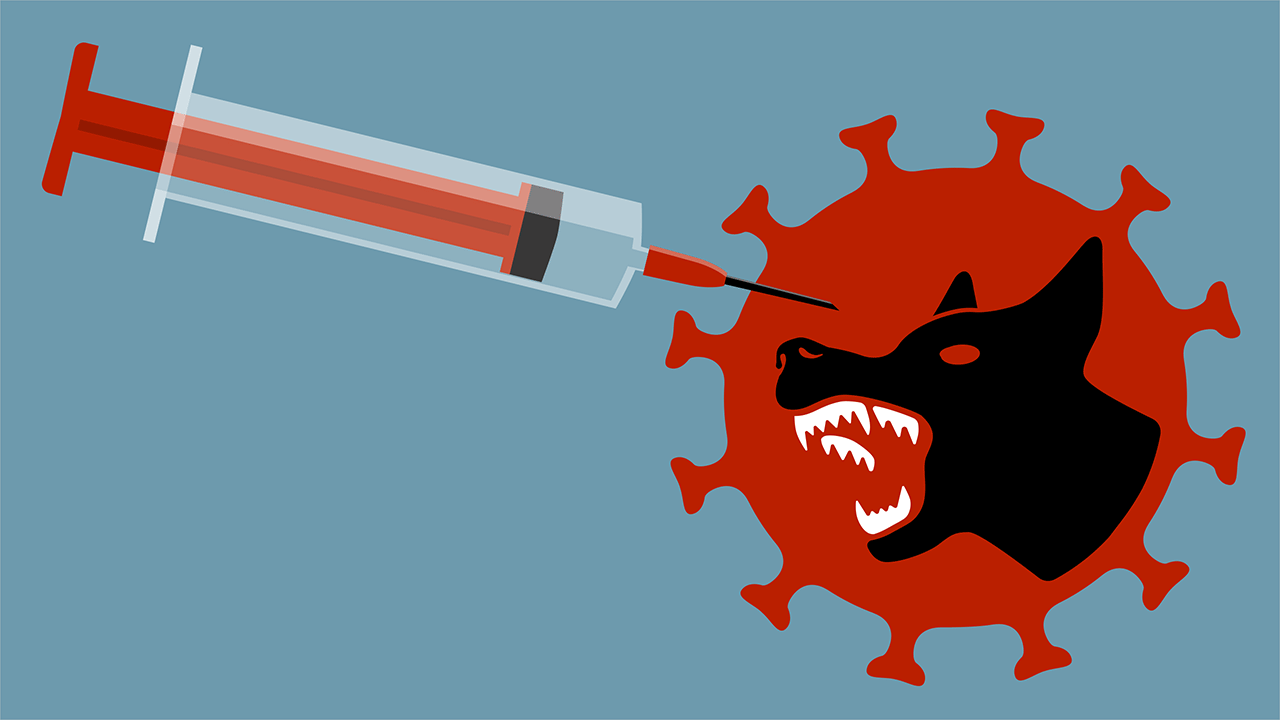 Tödliche Gefahr im Traumurlaub: Warum die Tollwut-Impfung für Reisende aus Gifhorn unverzichtbar ist