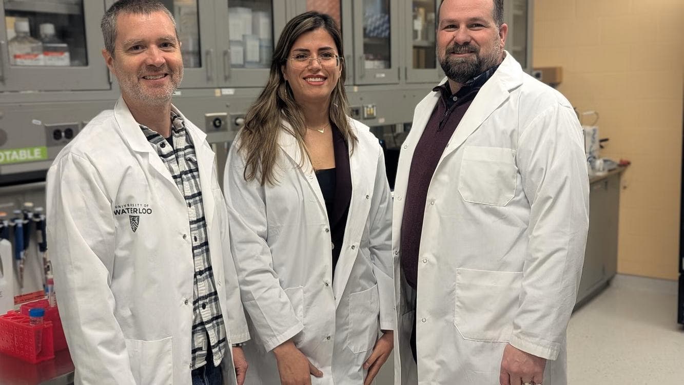 Revolution in der Krebstherapie? Forscher trainieren Bakterien, um Tumore von innen zu zerstören