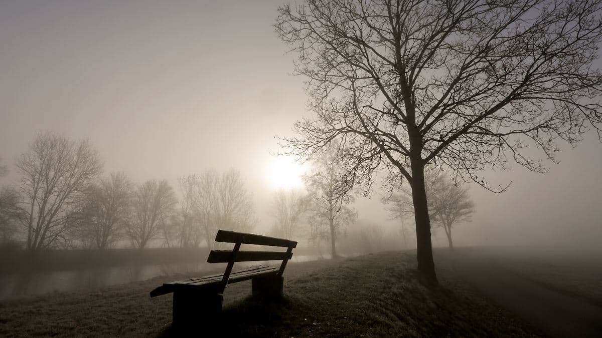 Gelber Himmel über Gifhorn: Alles, was Sie über den Saharastaub am Wochenende wissen müssen